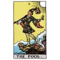 Narri (the fool)